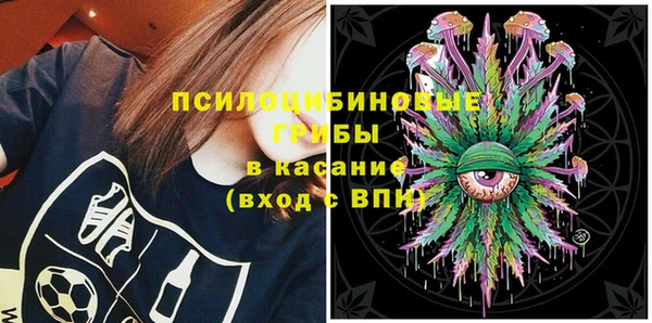 амф Кукмор