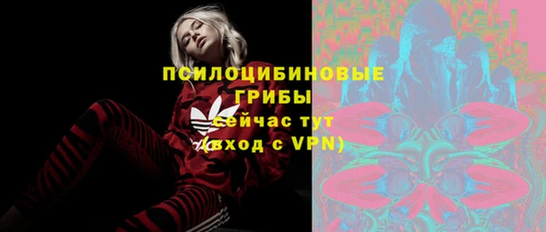 амф Кукмор