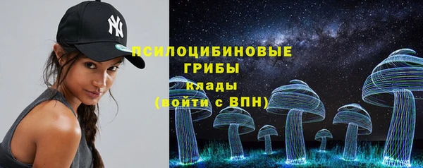 СК Кулебаки